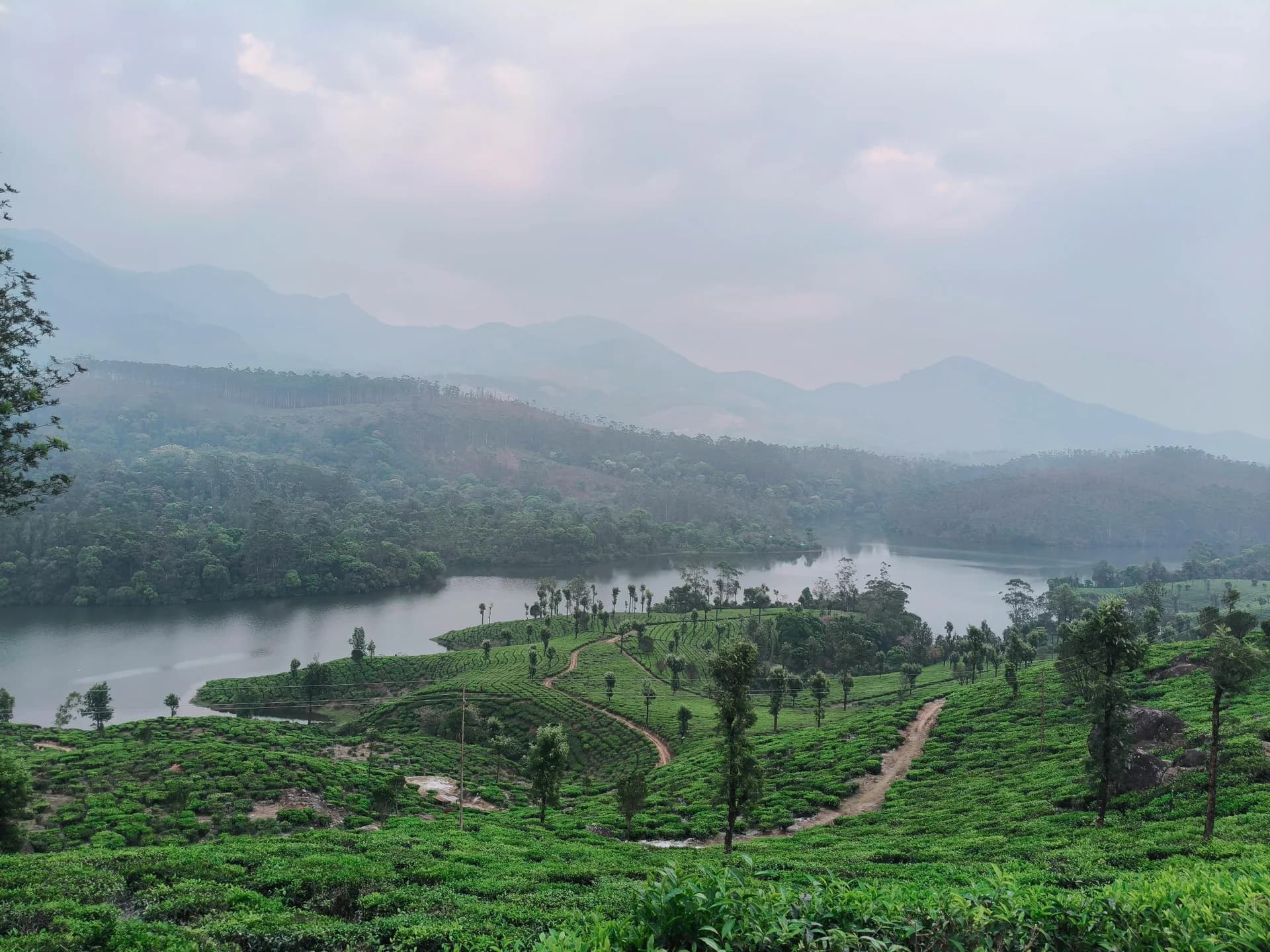Romantic Kerala — Munnar, Thekkady, Alleppey