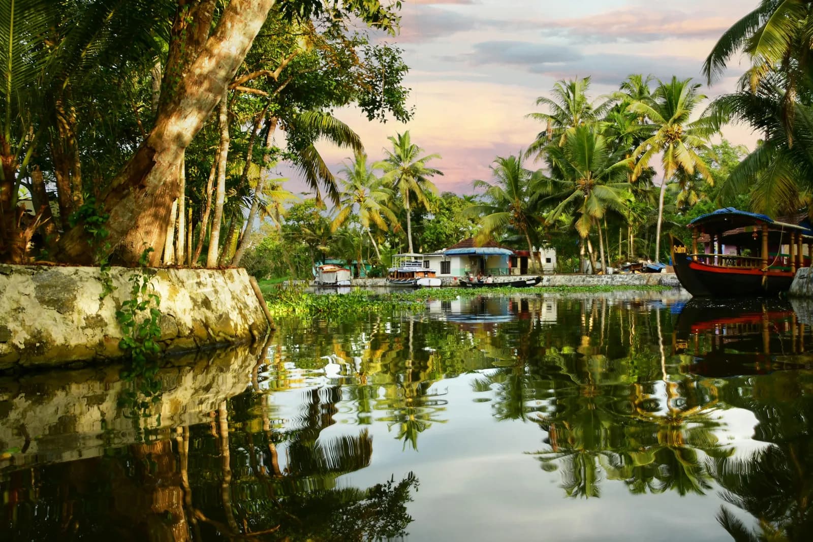 Coconut palms and a houseboat mirrored in still backwater at dawn in Alleppey