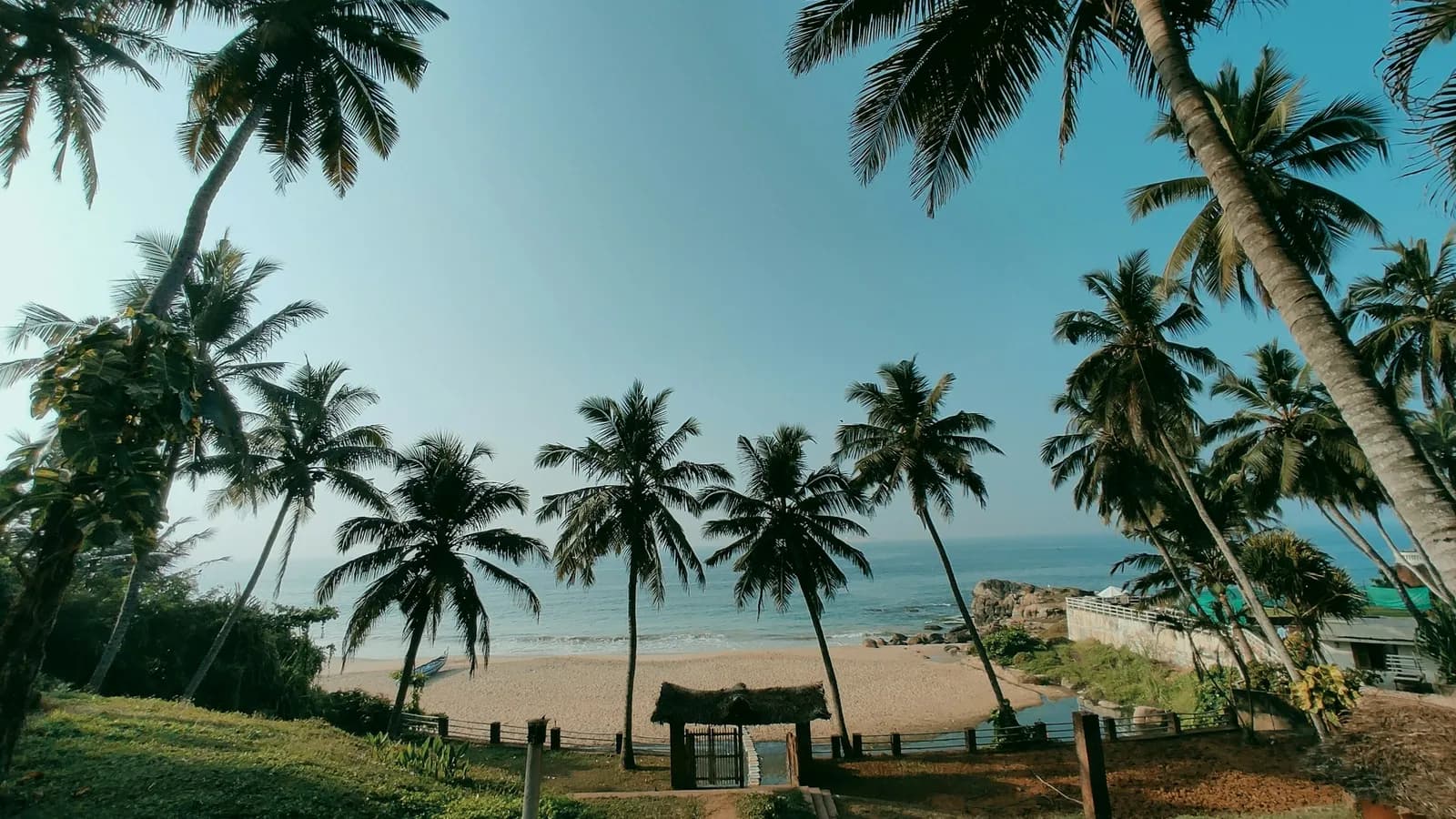 Coconut palms leaning over a quiet sandy cove at Kovalam