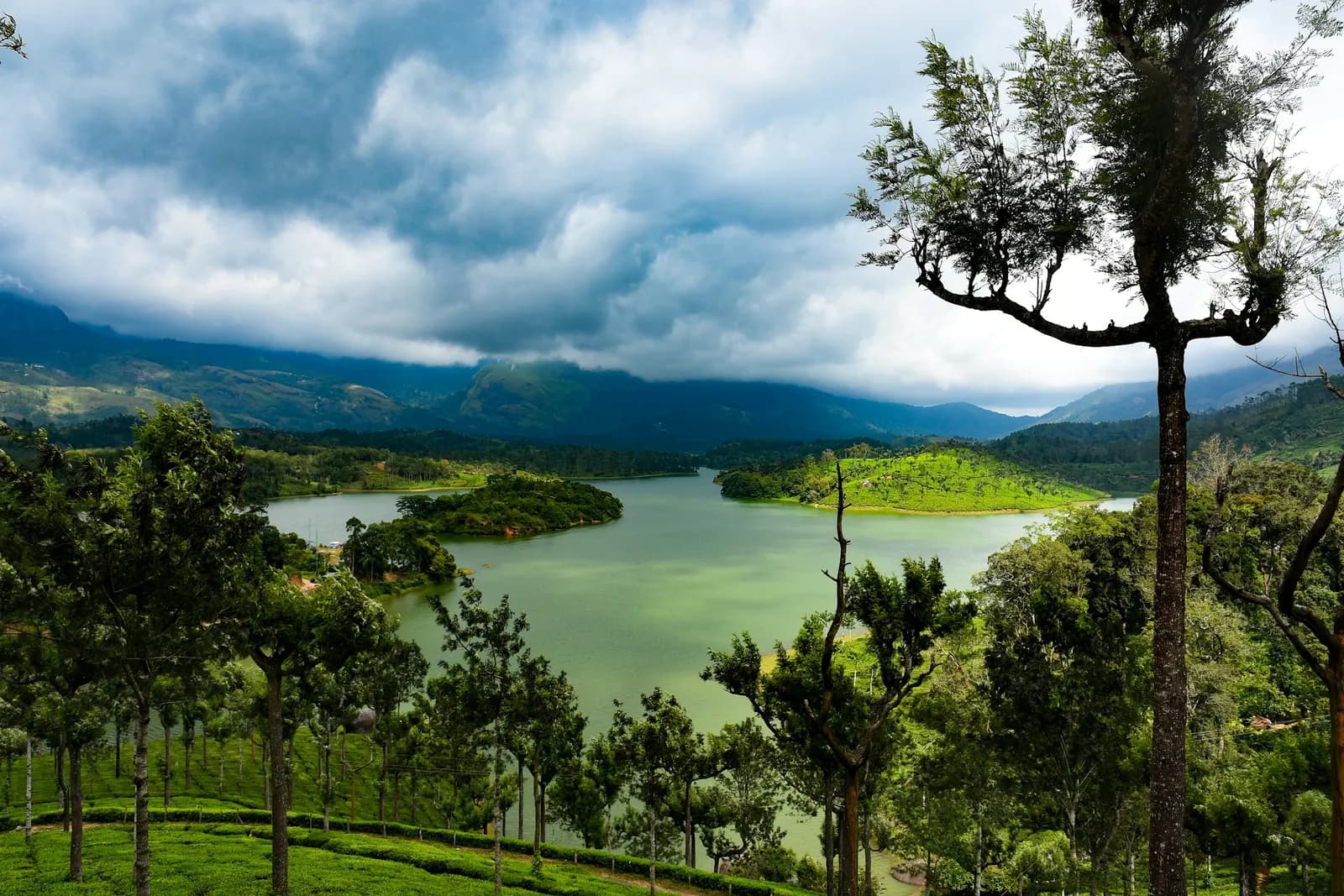 Anayirankal reservoir ringed by tea gardens and forested hills near Munnar