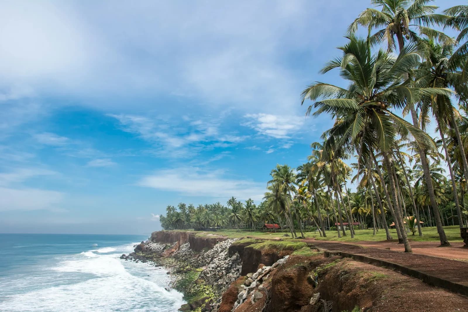 Coconut palms lining the red laterite cliffs above the Arabian Sea at Varkala