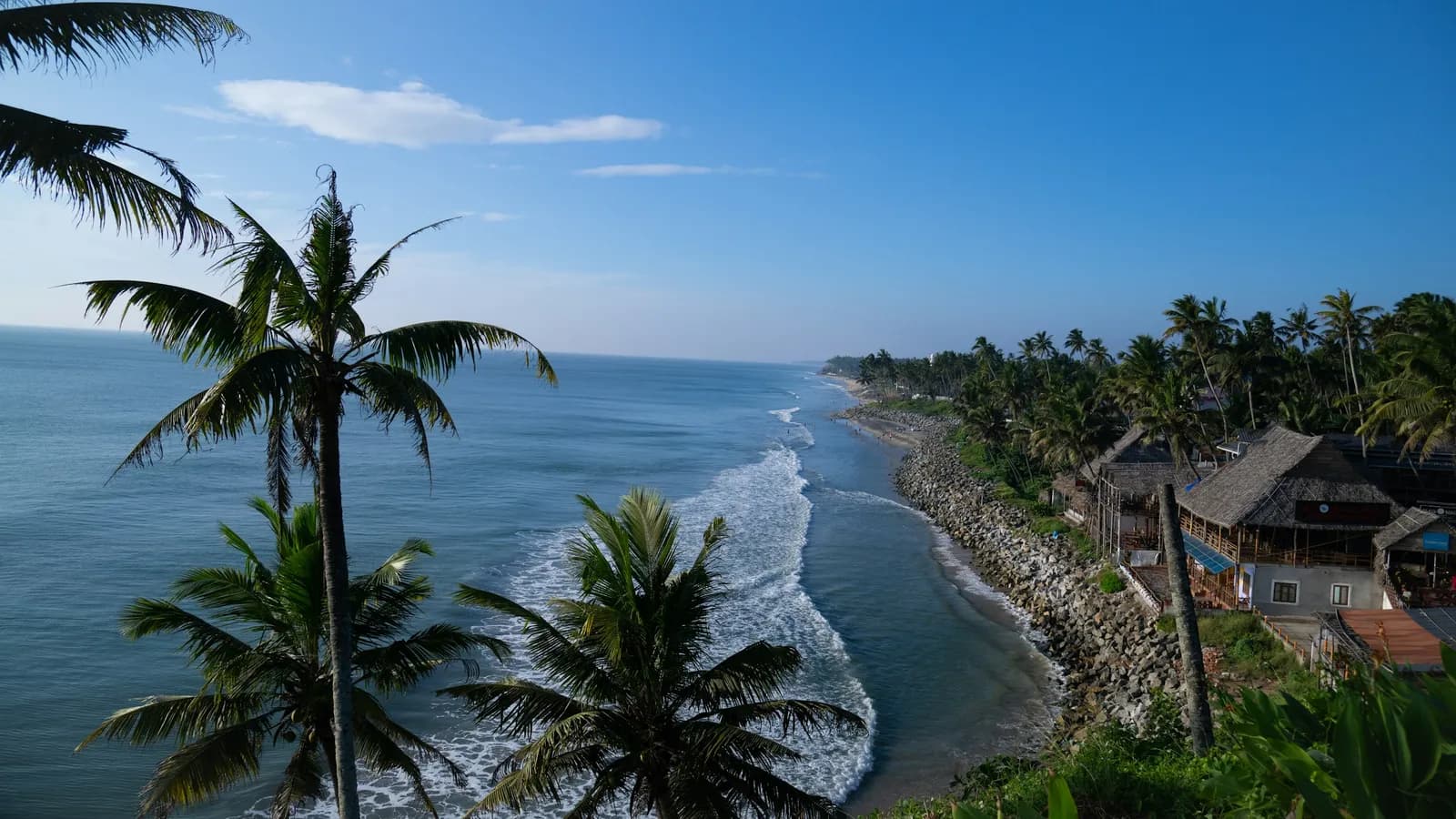Palm trees framing the curving coastline below Varkala Cliff