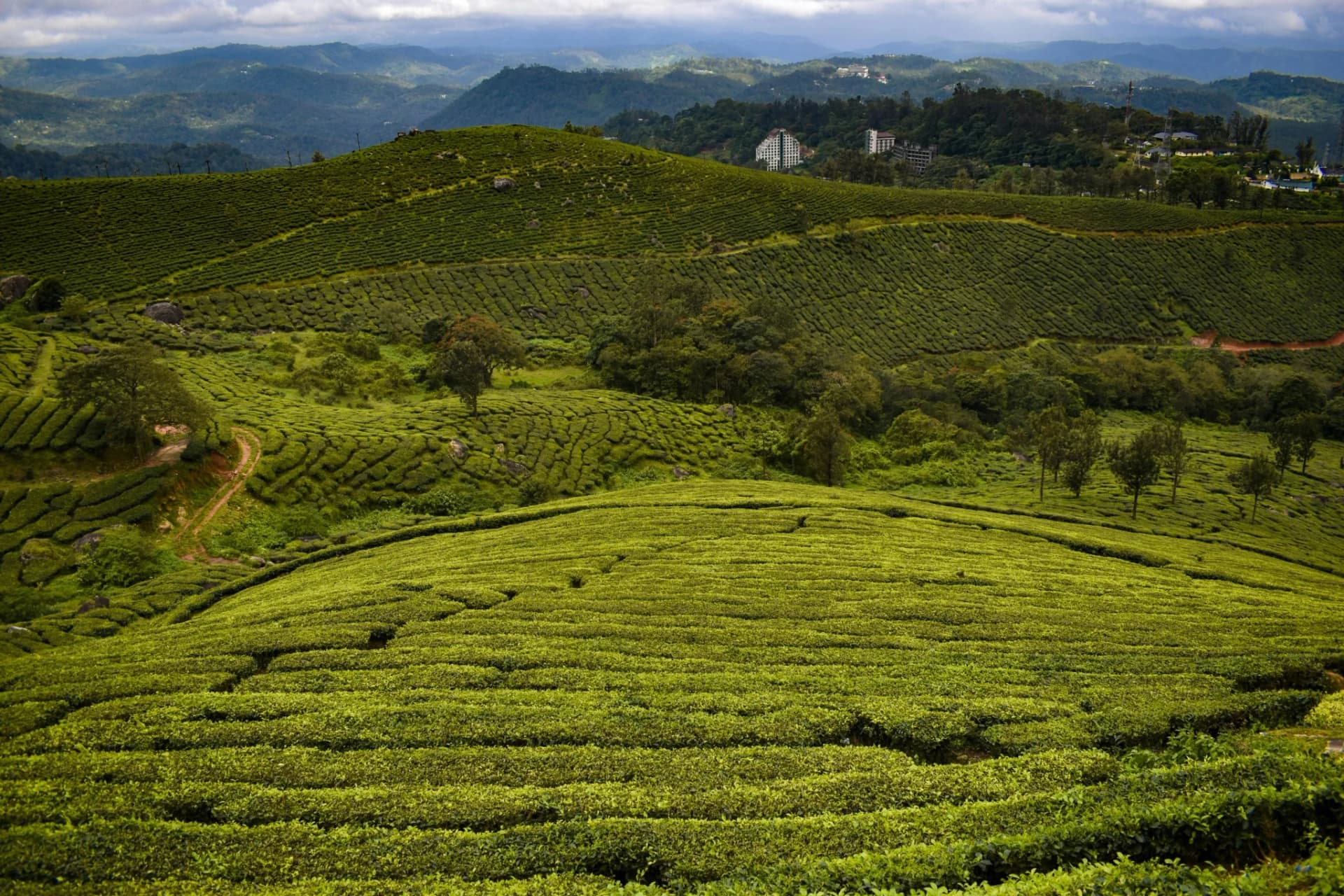 Munnar Short Escape — Munnar